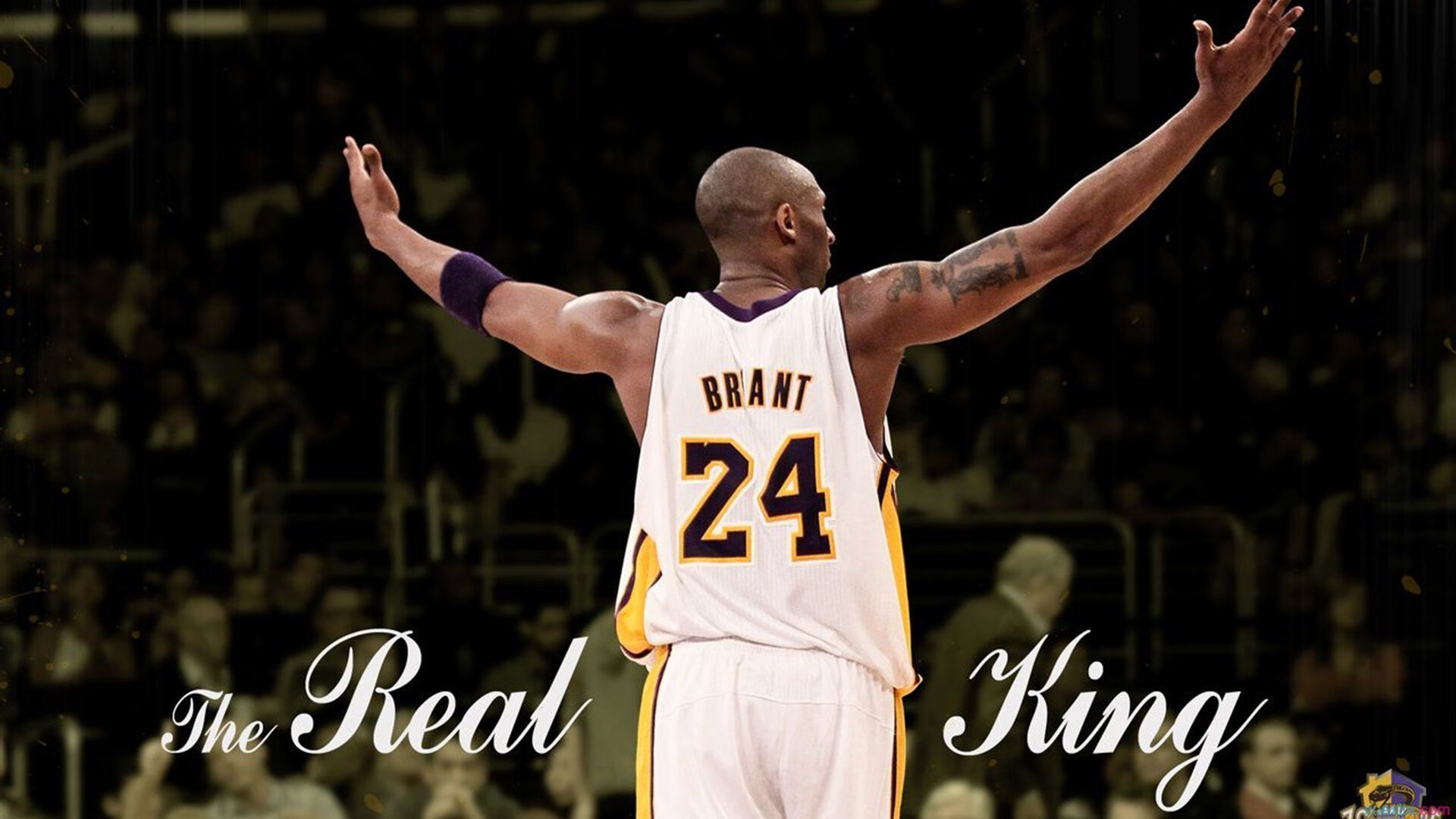 西亚卡姆的统治之夜，当开拓者防线在猛龙前锋面前彻底瓦解